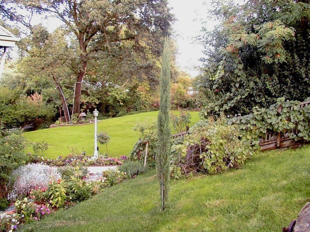 Robin'S Nest Bed & Breakfast San Andreas Esterno foto